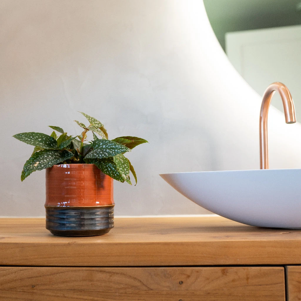 Marlijn Plant Pot - Coral 10 Marlijn Plant Pot - Coral - Image 10