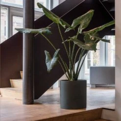 Max Refined Planter - Pine Green -HORTOLOGY Plants Sale Max Refined Planter Pine Green 1