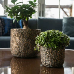 Maxim Plant Pot - Shiny Earth -HORTOLOGY Plants Sale Maxim shiny earth 03