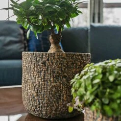 Maxim Plant Pot - Shiny Earth -HORTOLOGY Plants Sale Maxim shiny earth 04