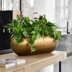 Metallic Boat Planter - Matt Honey -HORTOLOGY Plants Sale Metallic Boat Planter Matt Honey 1