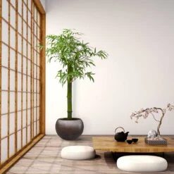 Metallic Globe Plant Pot - Matt Coffee -HORTOLOGY Plants Sale Metallic Couple Plant Pot Matt Coffee LS1