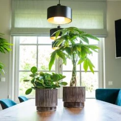 Nella Plant Pot - Coffee -HORTOLOGY Plants Sale Nella Coffee 2