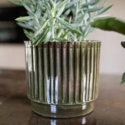 Nella Forest Green Distressed Metal Plant Pot – Ribbed Sage & Red Tones Indoor Planter -HORTOLOGY Plants Sale Nella Forest 2