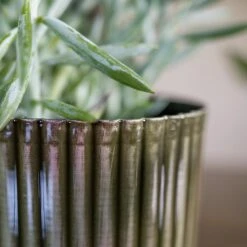 Nella Forest Green Distressed Metal Plant Pot – Ribbed Sage & Red Tones Indoor Planter -HORTOLOGY Plants Sale Nella Forest 3