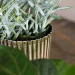 Nella Forest Green Distressed Metal Plant Pot – Ribbed Sage & Red Tones Indoor Planter -HORTOLOGY Plants Sale Nella Forest 5