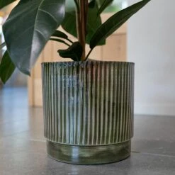 Nella Forest Green Distressed Metal Plant Pot – Ribbed Sage & Red Tones Indoor Planter -HORTOLOGY Plants Sale Nella Forest 6