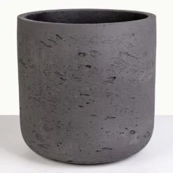 Charlie Plant Pot - Black Washed 25 Charlie Plant Pot - Black Washed -HORTOLOGY Plants Sale New Charlie Black Washed 3