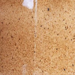 Nine Plant Pot - Caramel 15 Nine Plant Pot - Caramel -HORTOLOGY Plants Sale Nine Plant Pot Caramel Swatch.jpg bak