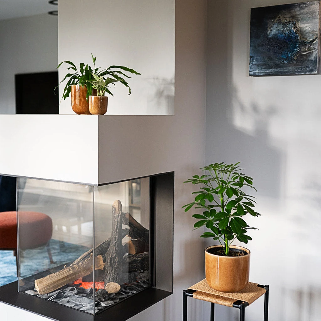 Nine Plant Pot - Caramel 4 Nine Plant Pot - Caramel - Image 4