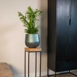 Ninthe Metal Plant Pot - Metallic Petrol 22 Ninthe Metal Plant Pot - Metallic Petrol -HORTOLOGY Plants Sale Ninthe metallic green 01