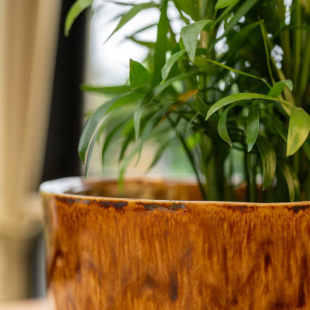 Nolan Plant Pot - Caramel 14 Nolan Plant Pot - Caramel - Image 14