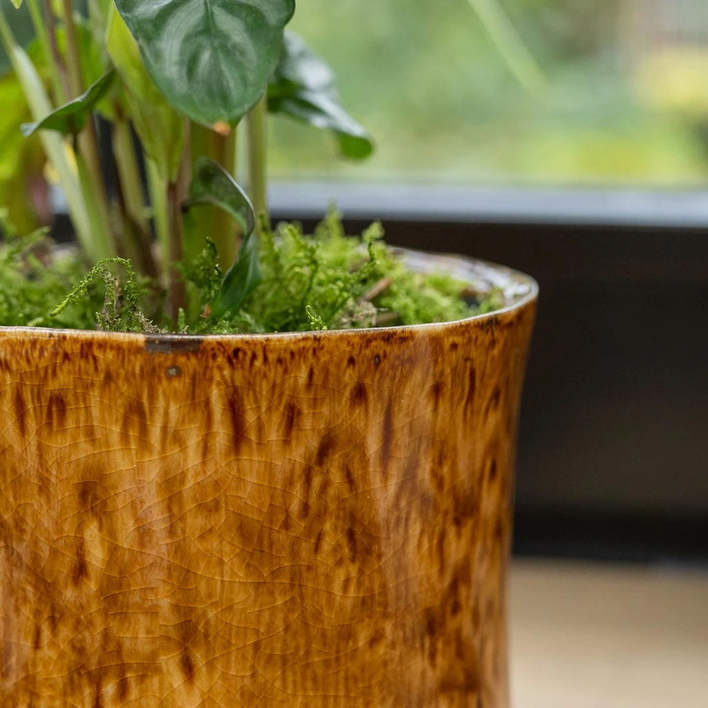 Nolan Plant Pot - Caramel 15 Nolan Plant Pot - Caramel - Image 15