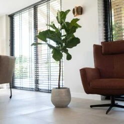 Noor Plant Pot - Metallic Grey -HORTOLOGY Plants Sale Noor Plant Pot Metallic Grey 4