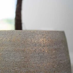 Noor Plant Pot - Metallic Grey -HORTOLOGY Plants Sale Noor Plant Pot Metallic Grey 5