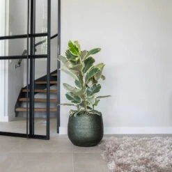 Noor Plant Pot - Velvet Green 23 Noor Plant Pot - Velvet Green -HORTOLOGY Plants Sale Noor Plant Pot Velvet Green 4