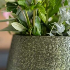 Noor Plant Pot - Velvet Green 38 Noor Plant Pot - Velvet Green -HORTOLOGY Plants Sale Noor Plant Pot Velvet Green 5