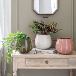 Nova Plant Pot - Rose 12 Nova Plant Pot - Rose -HORTOLOGY Plants Sale Nova Plant Pot Rose 23 x 18cm 2 eb1a73b7 1750 4e29 836e 92ca9d8cc864