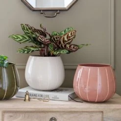 Nova Plant Pot - Rose 9 Nova Plant Pot - Rose -HORTOLOGY Plants Sale Nova Plant Pot Rose 23 x 18cm 6f69093b d56e 46c7 94b7 24c715c1effc