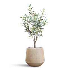 Raindrop Stone Tube Round Planter - Grey Fibreclay Modern Indoor/Outdoor Pot -HORTOLOGY Plants Sale Olive Tree Artificial 90cm Raindrop Tube Round Planter Stone 30x26cm