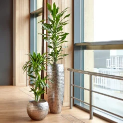 Opus Hammered Globe Planter - Silver -HORTOLOGY Plants Sale Opus Hammered Globe Silver Opus Hammered Partner Silver