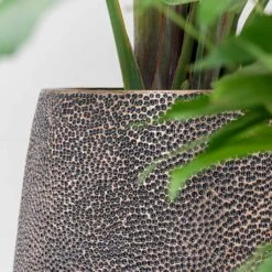 Opus Hit Darcy Planter - Gold -HORTOLOGY Plants Sale Opus Hit Darcy Planter Gold Textures