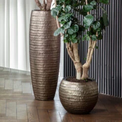Opus Hammered Globe Planter - Gold -HORTOLOGY Plants Sale OpusHammeredPartnerPlanter Gold 3