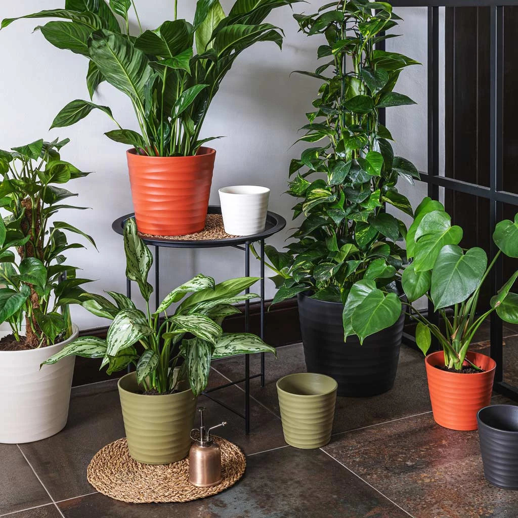 Oslo Plant Pot - Cayenne 2 Oslo Plant Pot - Cayenne - Image 2