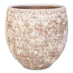 Ostia Plant Pot - Speckled 11 Ostia Plant Pot - Speckled -HORTOLOGY Plants Sale Ostia Pot Speckled 21x19cm 4f54857f a373 458a b6d6 65dc0ca1d004