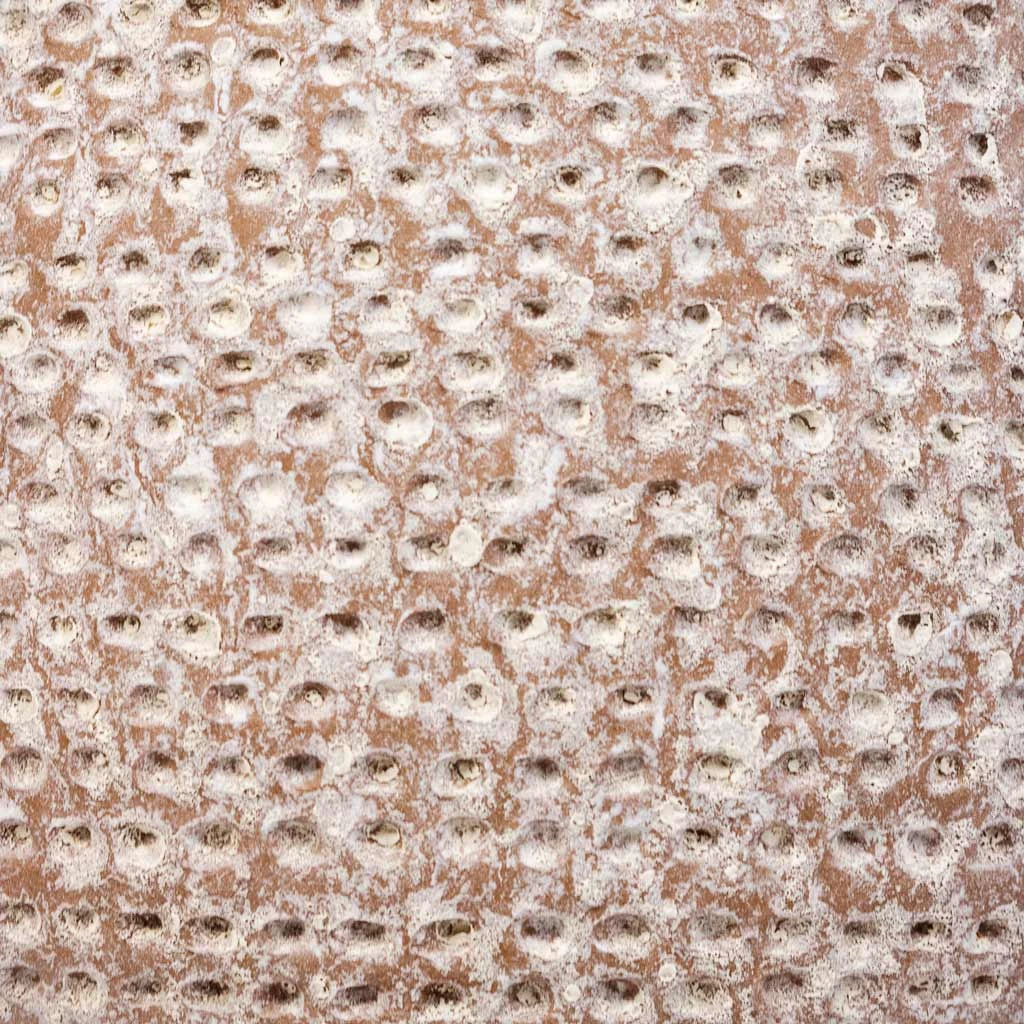 Ostia Plant Pot - Speckled 4 Ostia Plant Pot - Speckled - Image 4