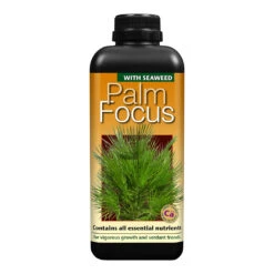 Palm Focus - Plant Nutrition 5 Palm Focus - Plant Nutrition -HORTOLOGY Plants Sale Palm Focus 1 litre 189f8c52 d65f 4b42 968b d4f000c9c179