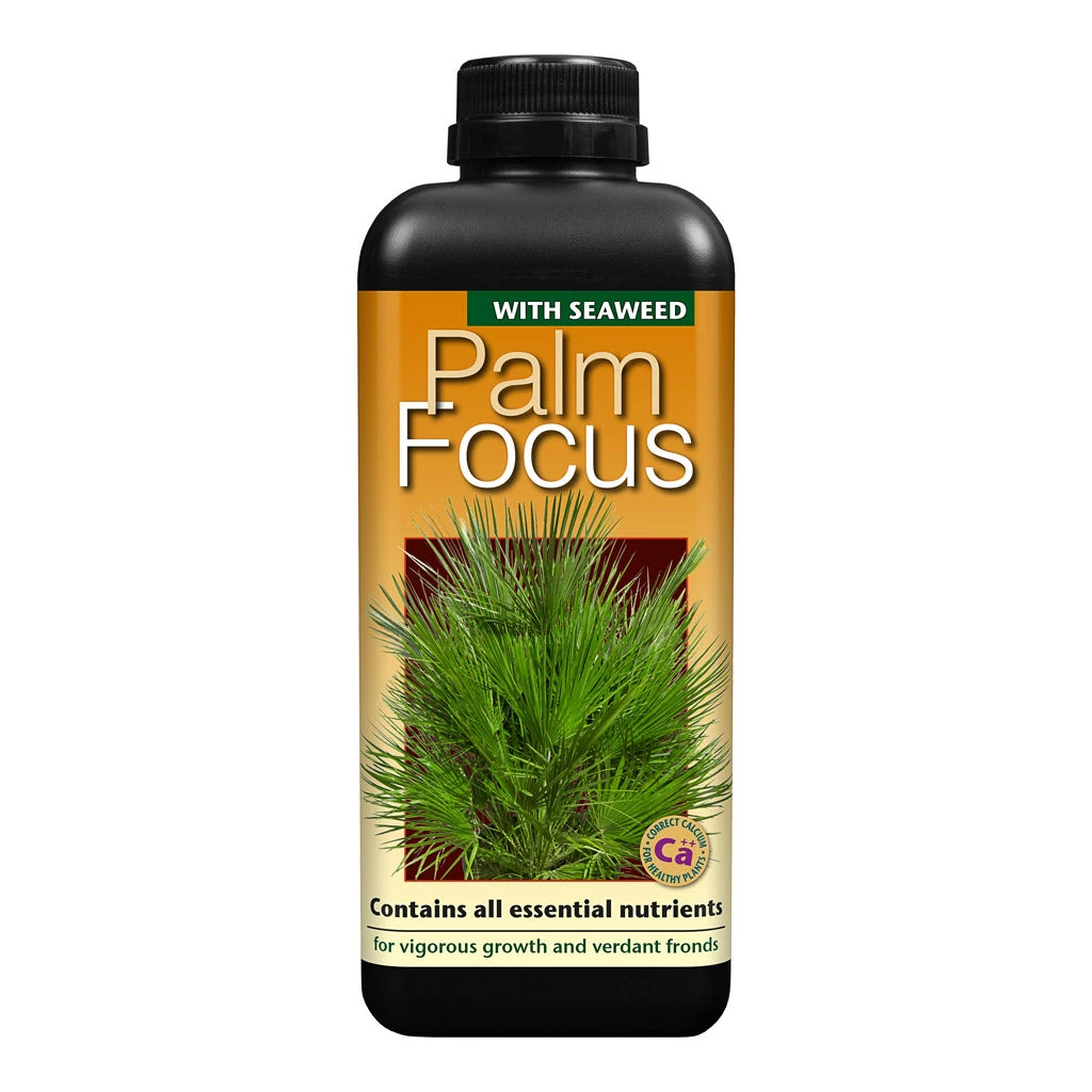 Palm Focus - Plant Nutrition 3 Palm Focus - Plant Nutrition - Image 3
