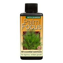 Palm Focus - Plant Nutrition
