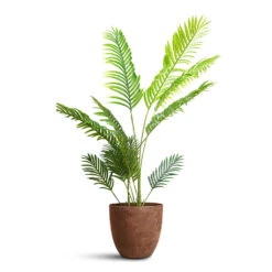 Bola Artstone Plant Pot - Oak -HORTOLOGY Plants Sale Paradise Palm Artificial 140cm Bola Artstone Pot Oak 33x29cm