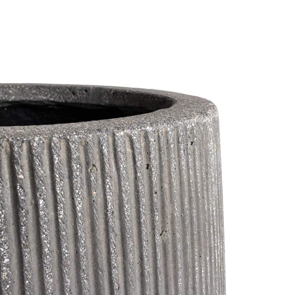 Patt High Ridged Planter - Dark Grey 6 Patt High Ridged Planter - Dark Grey - Image 6