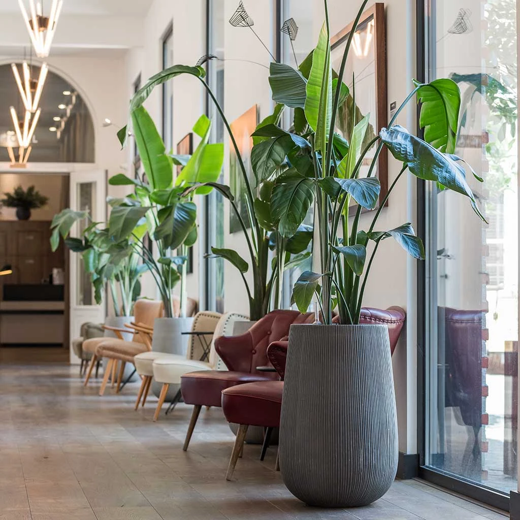 Patt High Ridged Planter - Dark Grey 3 Patt High Ridged Planter - Dark Grey - Image 3