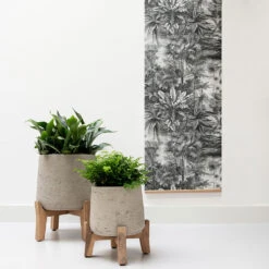 Patt Plant Pot - Low Stand - Grey Washed -HORTOLOGY Plants Sale Patt Plant Pot Low Stand Grey Washed Lifestyle 01