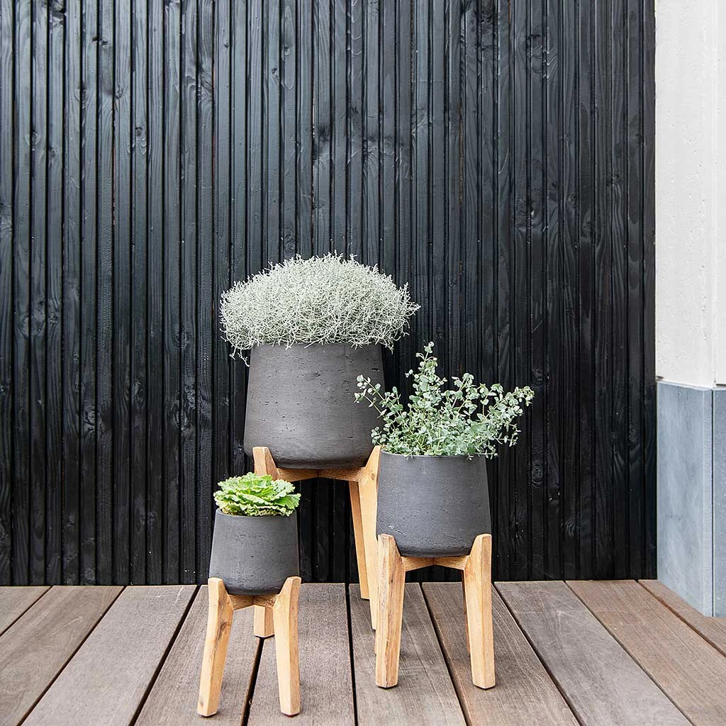 Patt Plant Pot - Tall Stand - Black Washed 3 Patt Plant Pot - Tall Stand - Black Washed - Image 3
