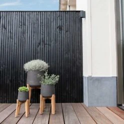 Patt Plant Pot - Tall Stand - Black Washed 15 Patt Plant Pot - Tall Stand - Black Washed -HORTOLOGY Plants Sale Patt Plant Pot Tall Stand Black Washed Lifestyle 02