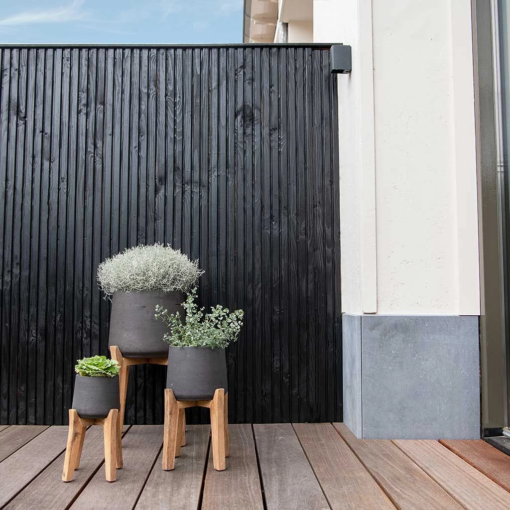 Patt Plant Pot - Tall Stand - Black Washed 6 Patt Plant Pot - Tall Stand - Black Washed - Image 6