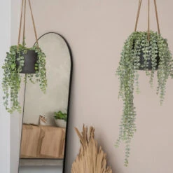 Patt Hanging Plant Pot - Black Washed -HORTOLOGY Plants Sale PattHangingPlantPot BlackWashed 1