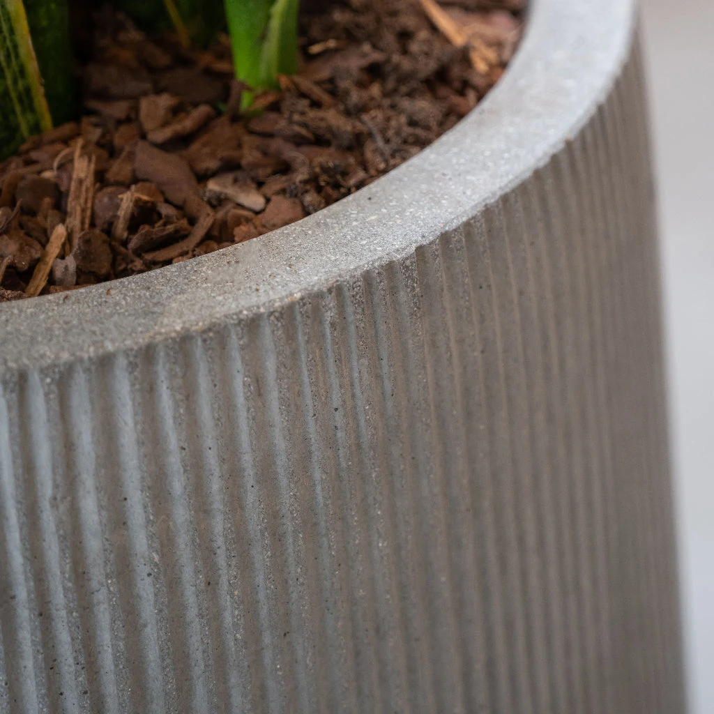 Patt High Ridged Planter - Cement 7 Patt High Ridged Planter - Cement - Image 7