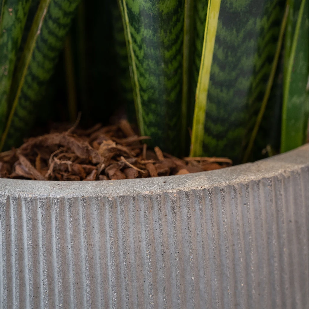 Patt High Ridged Planter - Cement 9 Patt High Ridged Planter - Cement - Image 9