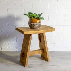 Peperomia Obtusifolia Green - Baby Rubber Plant -HORTOLOGY Plants Sale Peperomia obtusifolia Green Baby Rubber Plant Lindy Plant Pot Ochre natural 978ef1eb d744 49c1 9685 8b4f8bafe28b