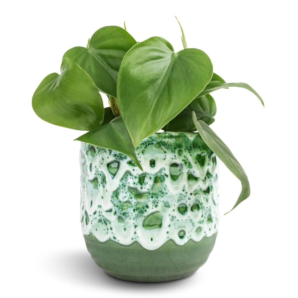 Ocean Glaze Plant Pot - Emerald 2 Ocean Glaze Plant Pot - Emerald - Image 2