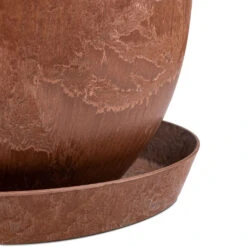 Bola Artstone Plant Pot - Oak -HORTOLOGY Plants Sale Polyscias Ming Aralia Ming 27x110cm Claire Artstone Plant Pot Saucer Oak 30x4cm Bola Artstone Plant Pot Oak 28x24cm 4