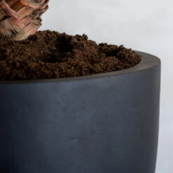 Jesslyn Natural Planter - Black 18 Jesslyn Natural Planter - Black -HORTOLOGY Plants Sale ProductsJesslynNaturalPlanter Black 2