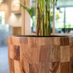 Quinn Planter - Natural -HORTOLOGY Plants Sale Quinn Natural 4