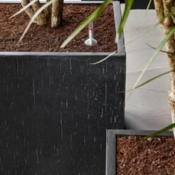 Raindrop Cube Planter - Anthracite -HORTOLOGY Plants Sale Raindrop Cube Anthracite 2