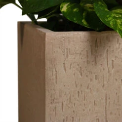 Raindrop Cube Planter - Stone -HORTOLOGY Plants Sale Raindrop Cube Planter Stone 30x30x27cm 2